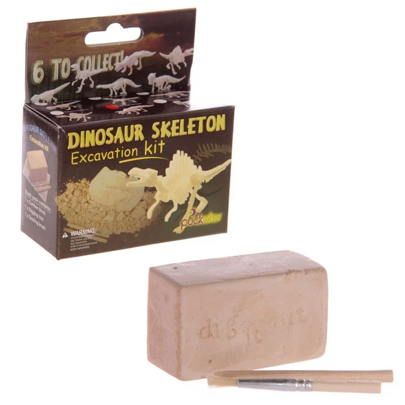 Dinosaur excavation kit with resin‑gypsum skeleton, fine sand, and digging tools – suitable for children with supervision.