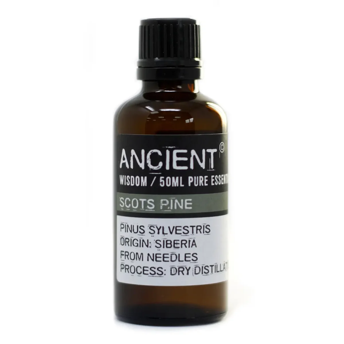 Bottled Pine sylvestris oil in a clear glass 50ml bottle.