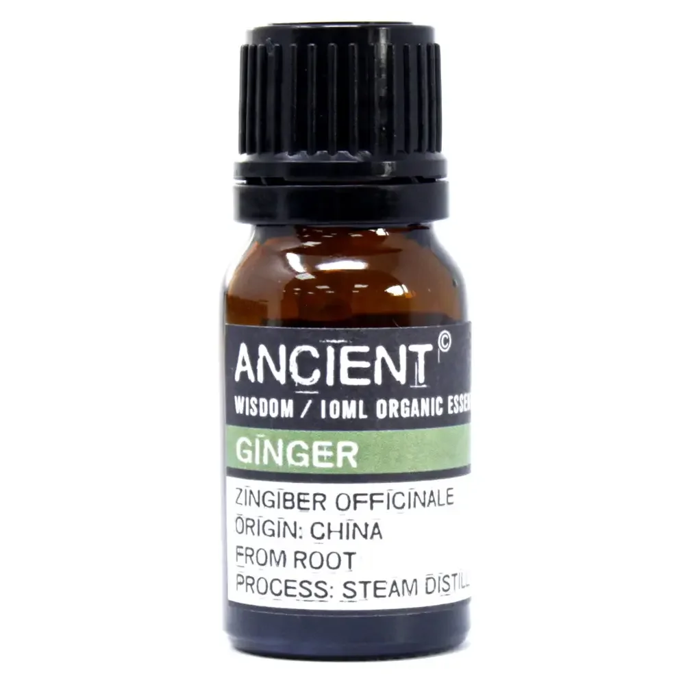 Small glass bottle of ginger essential oil, 10ml, labeled “Ginger Organic Essential Oil”.