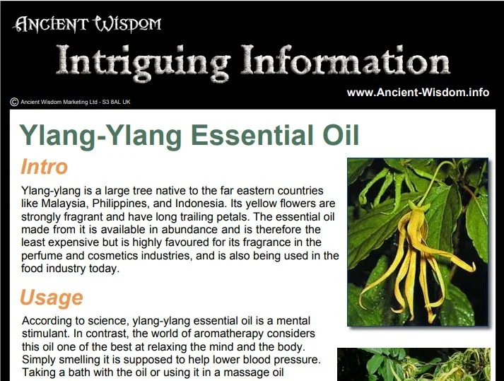 Ylang ylang essential oil