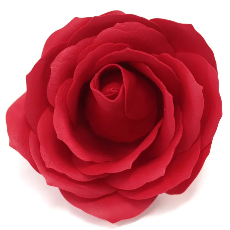 Large red soap rose in elegant flower shape, soft texture visible.
