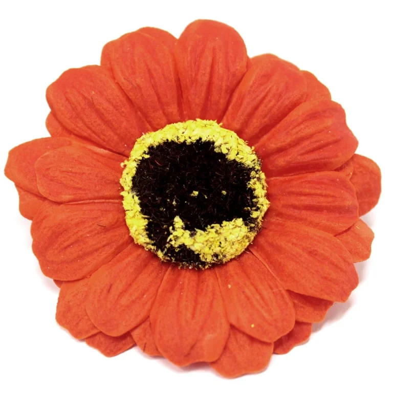 Orange soap flower shaped like a small sunflower