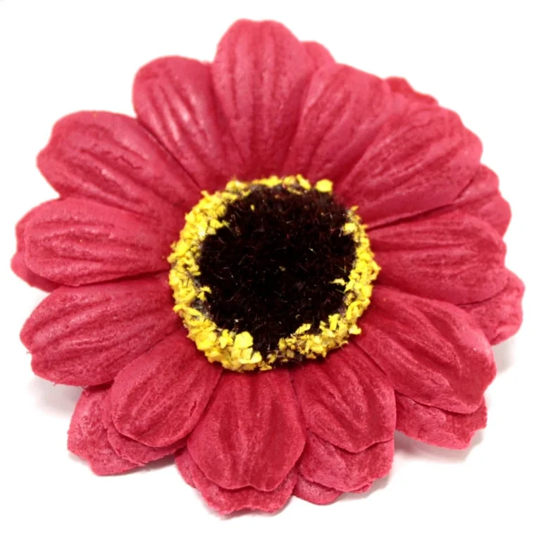 Red soap flower shaped like a small sunflower.