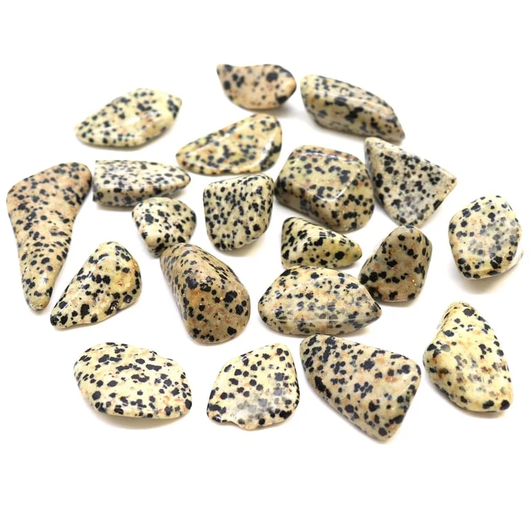 Dalmatian stone tumble stone with speckled black and white pattern.