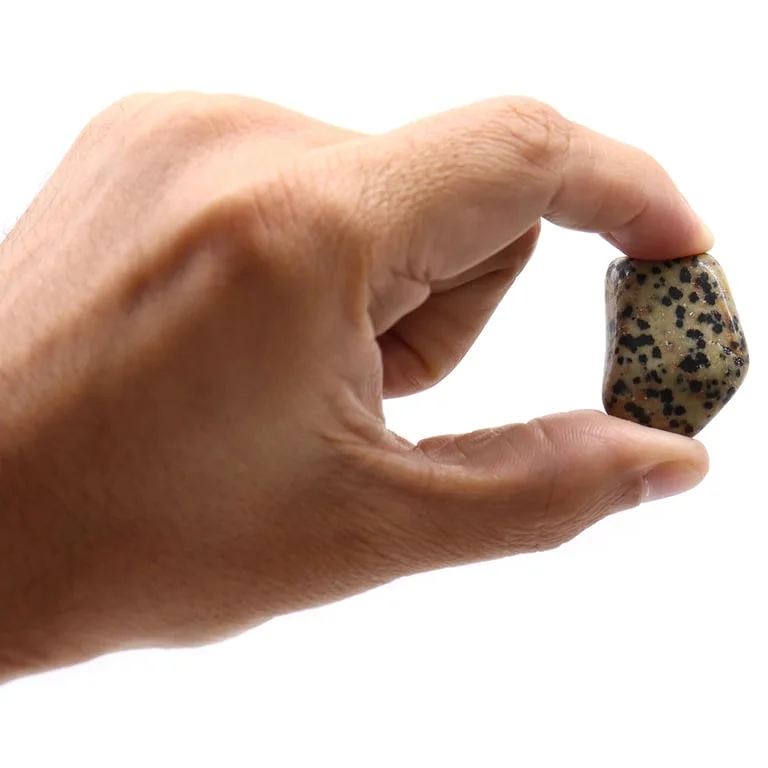Natural tumble stones featuring dalmatian pattern, smooth dark stone with white spots.