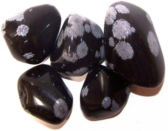 obsidian snowflake stone from L Tumble Stones