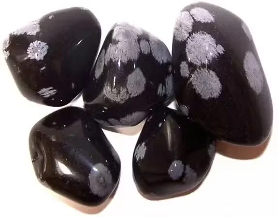 Black stone shaped like a snowflake obsidian, displayed against a simple backdrop