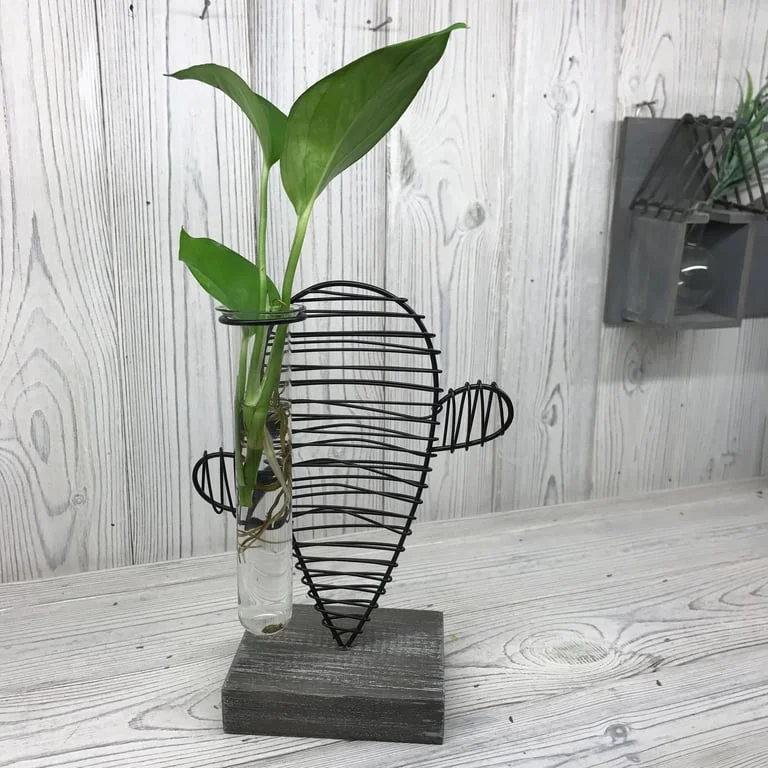 Hydroponic cactus pot displayed with a small cactus plant inside, set in a modern lab-style pot