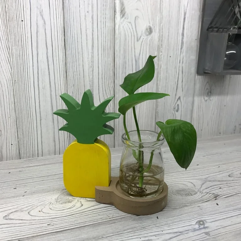 Pineapple hydroponic pot showcased as modern home décor.