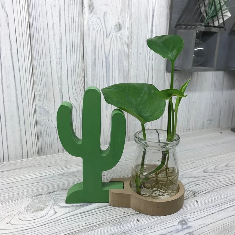 Hydroponic cactus pot with a small cactus plant.