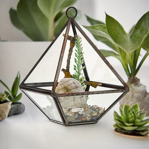 Small glass terrarium in a diamond shape with clear glass panels and a metal frame for decorative plants or succulents