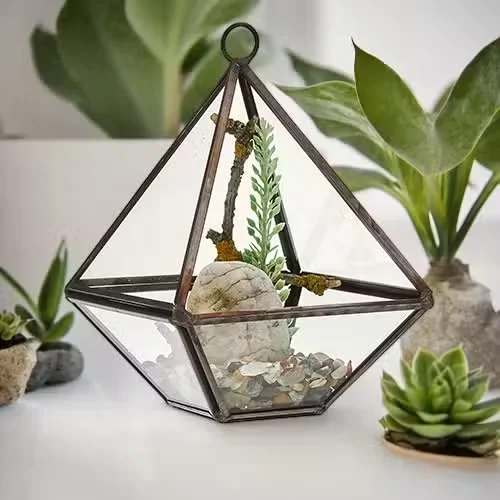 Small diamond-shaped decorative glass terrarium with clear glass panels and metal frame on white background