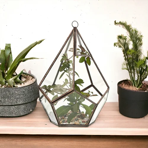 Large pentagon-shaped glass plant terrarium with clear glass panels and metal frame displayed on white background