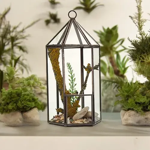 Clear glass lantern shaped terrarium with metal frame, designed for displaying plants or decorative items indoors