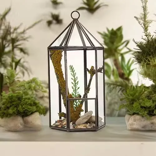 Lantern-shaped glass indoor plant terrarium with clear panels and metal frame for decorative plants or succulents