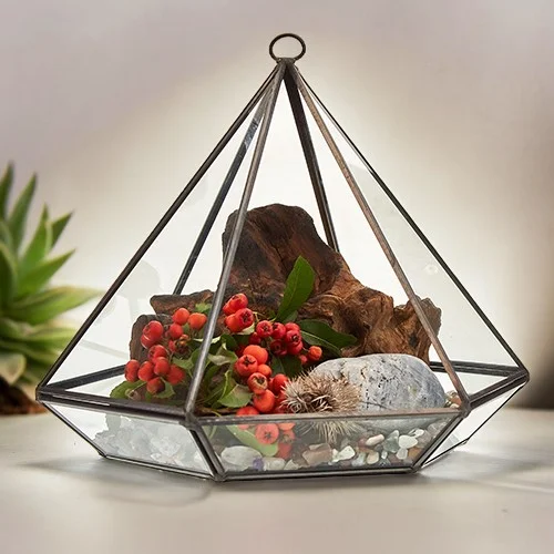 Large diamond-shaped glass plant terrarium with clear panels and metal frame, ideal for displaying plants and decor.