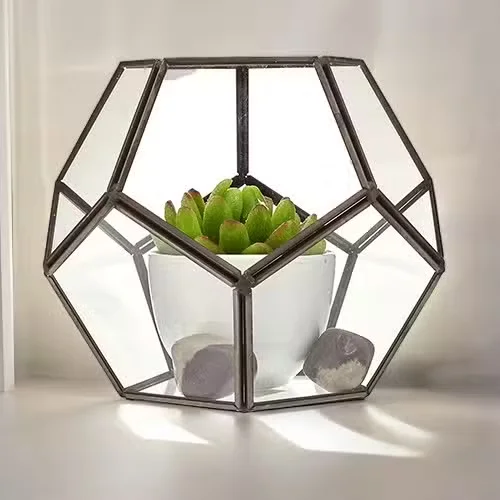 Large octagon glass indoor plant terrarium with clear panels and metal frame for decorative indoor gardening