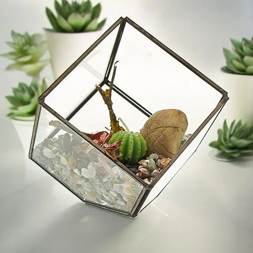 Glass terrarium cube positioned on its corner, showcasing clear glass panels and geometric design