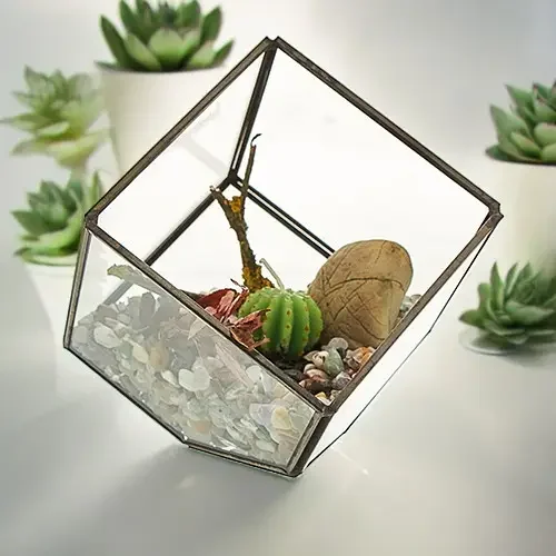 Cube glass terrarium with a modern corner design made of clear glass panels forming a geometric shape