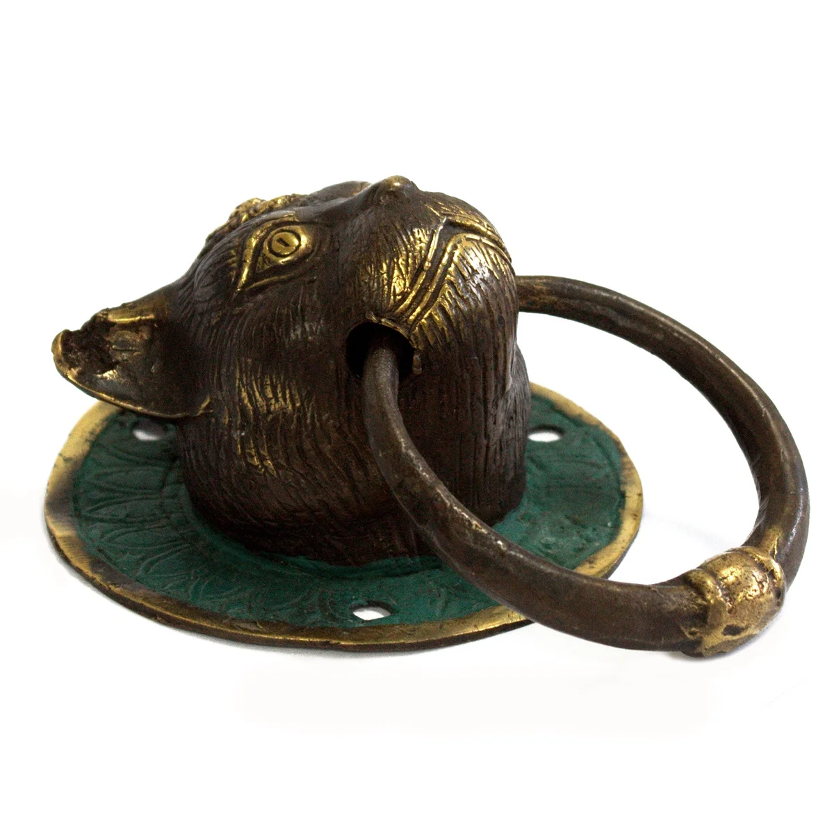 Brass door knocker depicting a cat's head with playful whiskers and detailed mane.