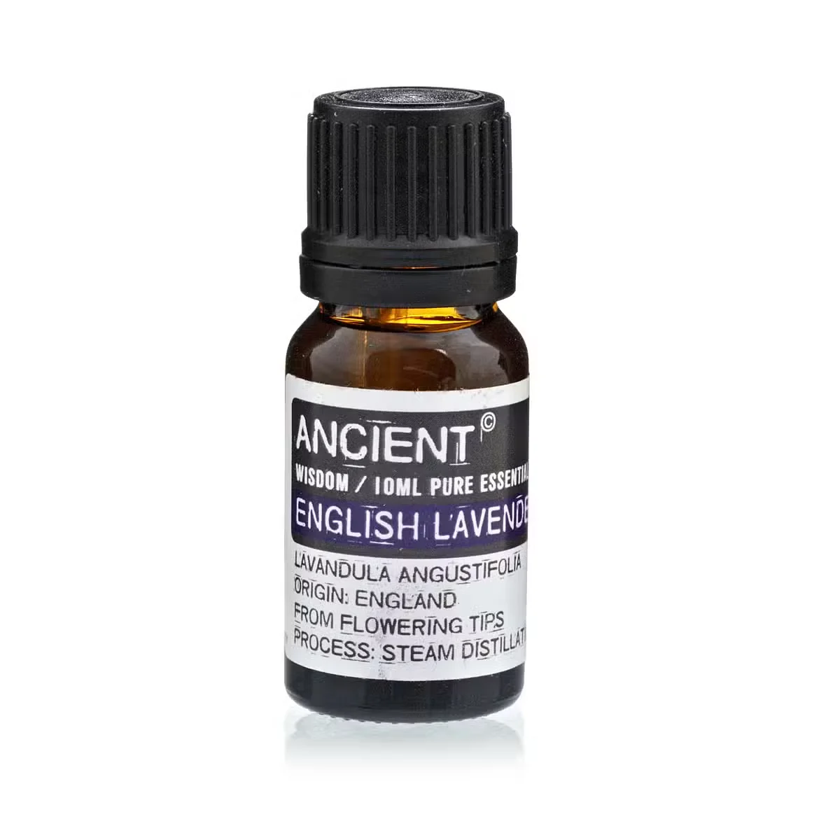 Small glass bottle of English lavender essential oil, clear bottle with botanical label