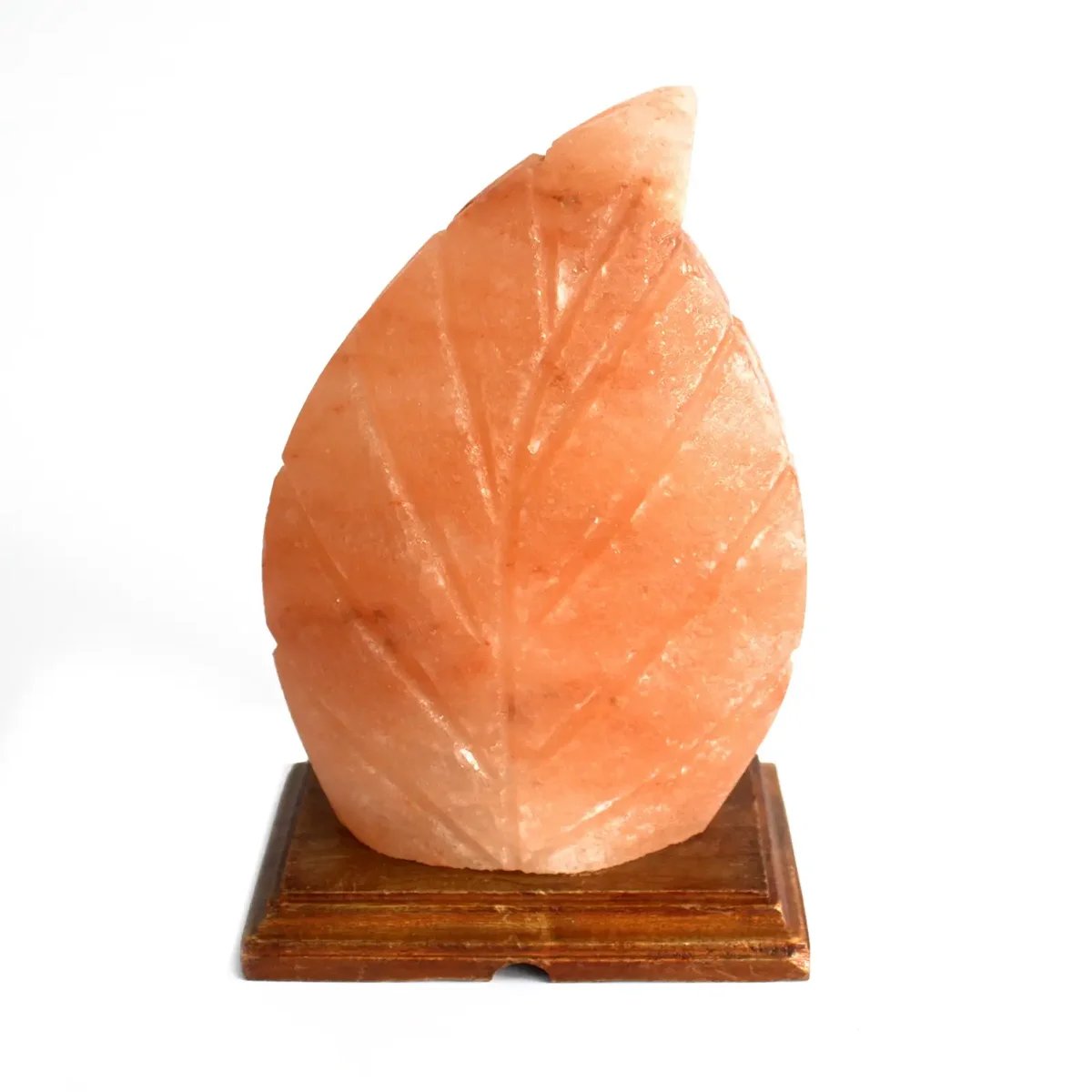 Fern-shaped shape salt lamp with warm orange glow on plain white background