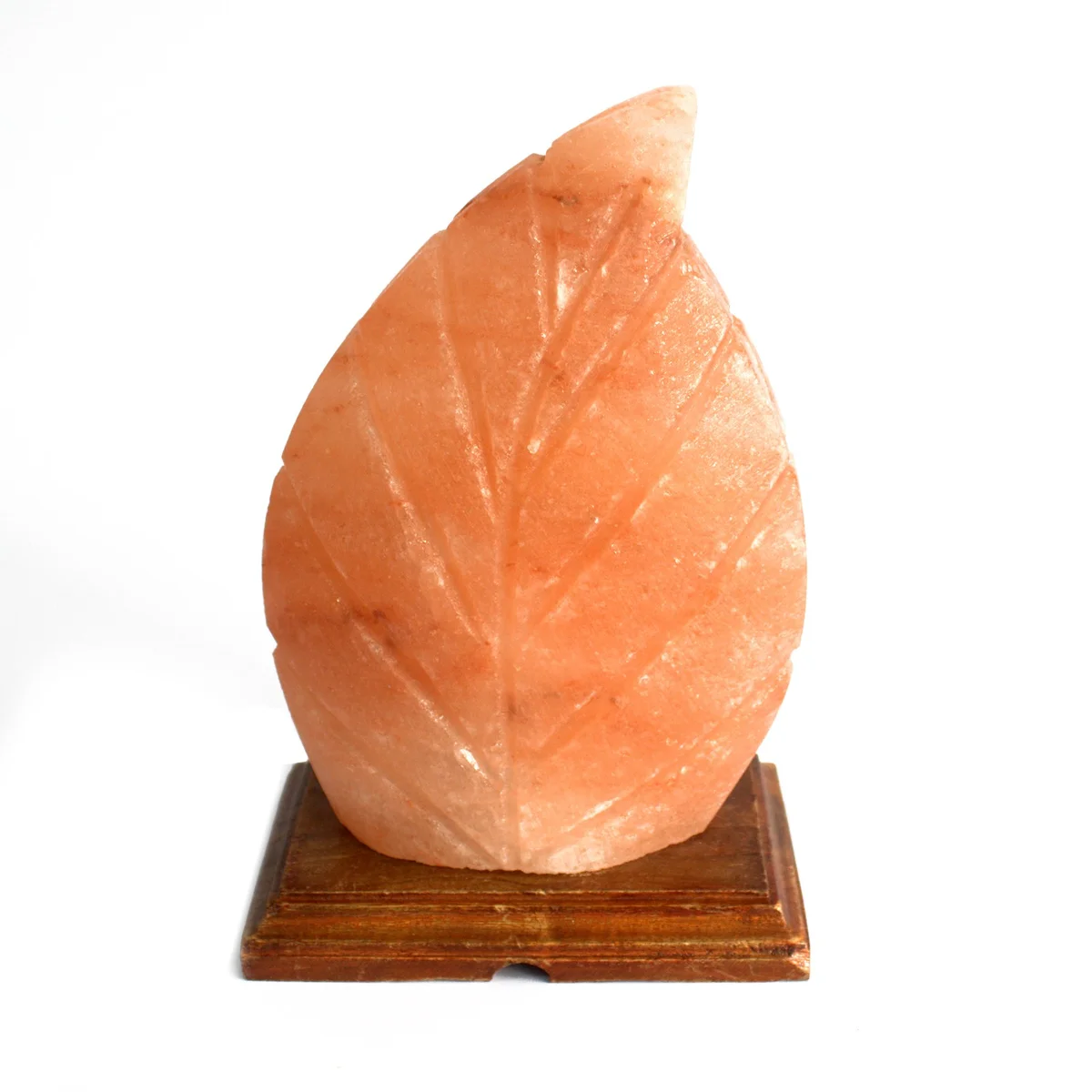 Decorative salt lamp shaped like a fern with soft glowing light on a white background, position 2 view