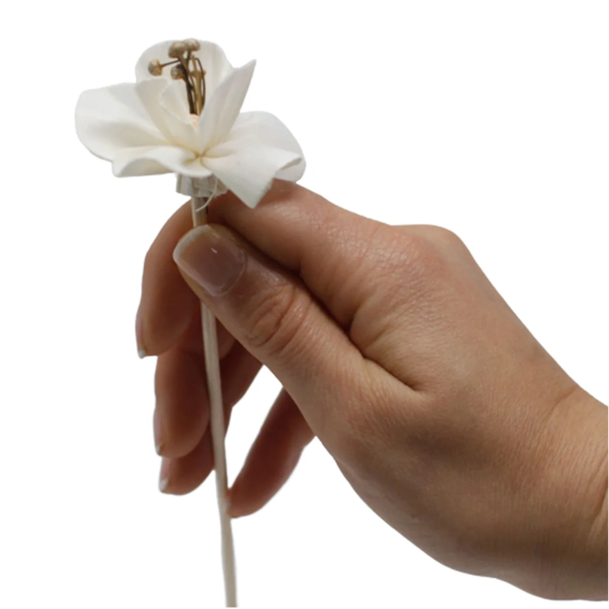 Natural diffuser flowers featuring white lily blooms on slender reed stems for home fragrance and decor
