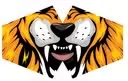 Tiger patterned children fashion face mask, reusable, bright and playful