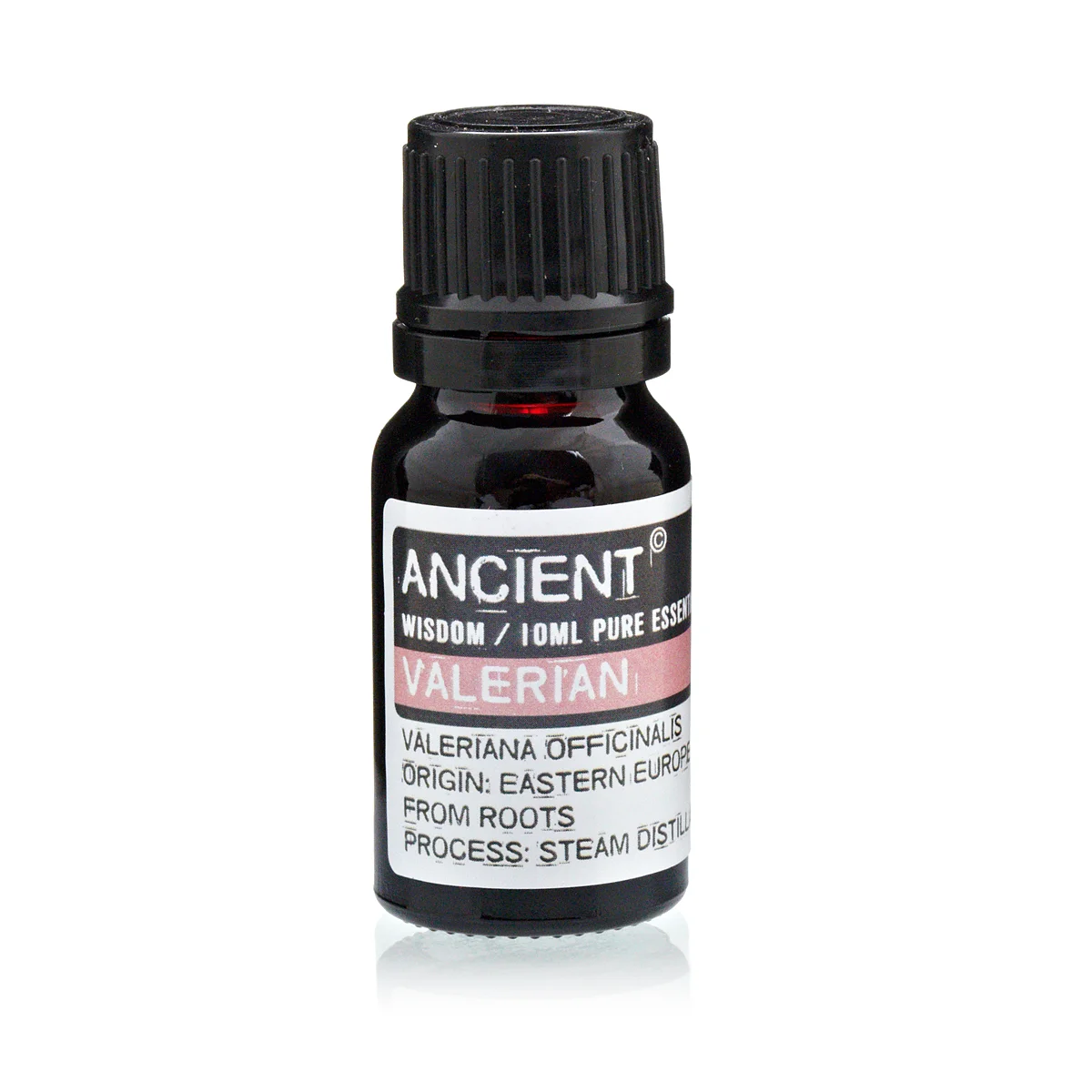 Bottle of 10ml essential oil of Valerian on a plain background.