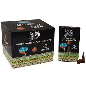 Tribal Soul backflow incense cones in white sage and palo santo scent with decorative packaging on white background