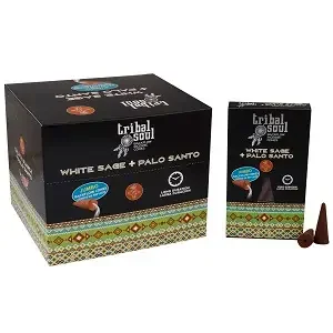 Tribal Soul backflow incense cones with white sage incense and palo santo packaging on a white background