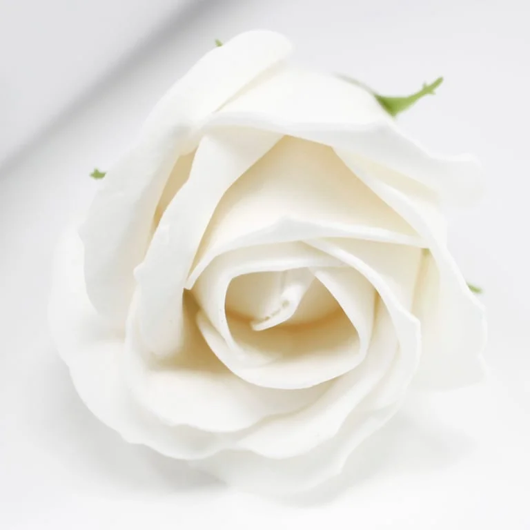 White medium rose craft soap flowers, handcrafted soap petals arranged in floral shape
