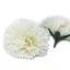 Cream craft soap carnations styled as bath soap flowers, delicate cream blobs forming elegant flower shapes