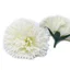 Cream coloured craft soap flowers shaped like carnation blossoms