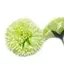 Lime-coloured craft soap flowers shaped like carnation petals, ideal bath soap flowers.