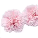 Pink soap carnations crafted to look like real flowers, set against a simple background.