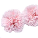 Pink soap carnations displayed as decorative soap flowers