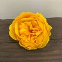 Craft soap flower in yellow, shaped like an extra large peony.