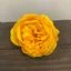 Yellow craft soap flower shaped like an extreme large peony, perfect as a bath soap flower.