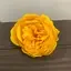Bright yellow craft soap flower shaped like an ext. large peony, a cute gift soap flower