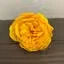Yellow craft soap flower shaped like an extra‑large peony.