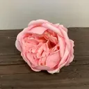 Pink soap flower shaped like an extra large peony, showing delicate petals in soft pink.