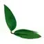 Tall craft flower leaf decor bundle, 60 pieces.