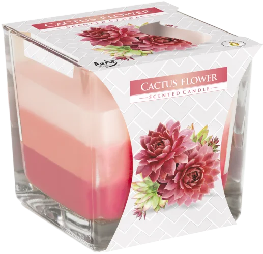 rainbow jar candle featuring cactus flower motif, clear glass, multi‑colour wax