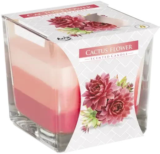 Cactus flower candle in rainbow jar, featuring bright wax layers.