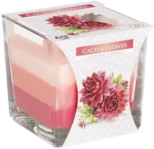 Rainbow jar scented candle with vibrant layered colours, featuring a cactus flower design.