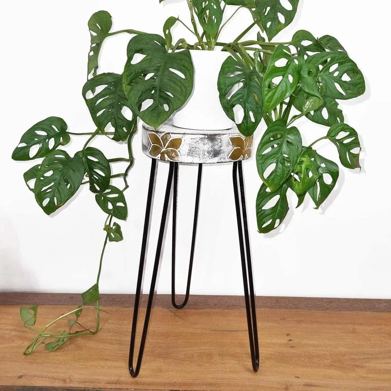Whitewash plant stand with wooden tiered design for indoor plants.