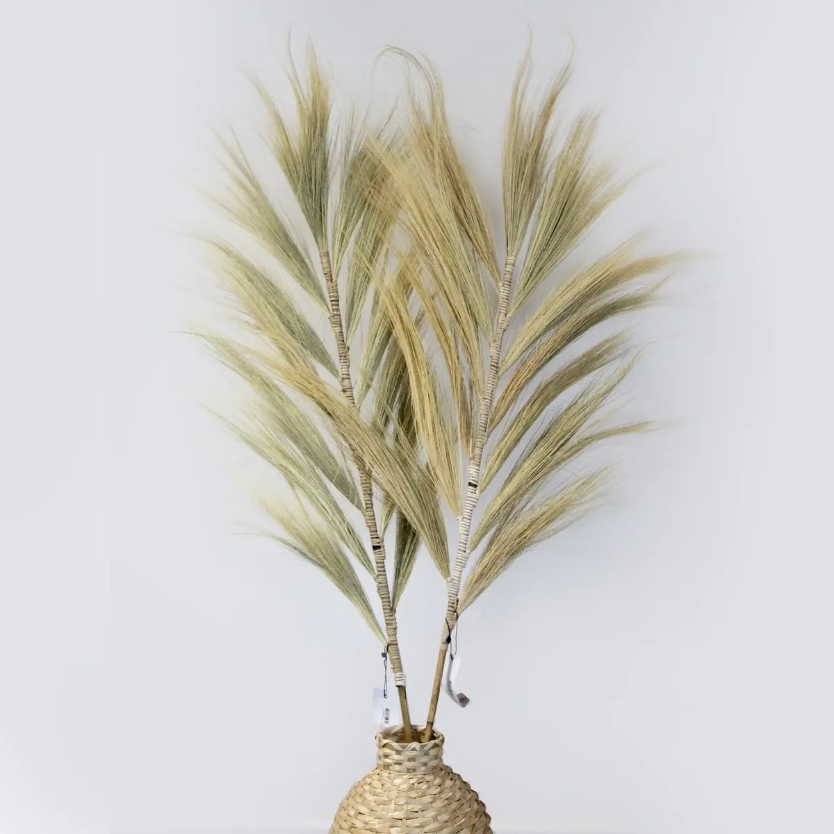 Tall 1.6m Rayung blond grass decor with feathery, natural-looking plumes in soft beige tones