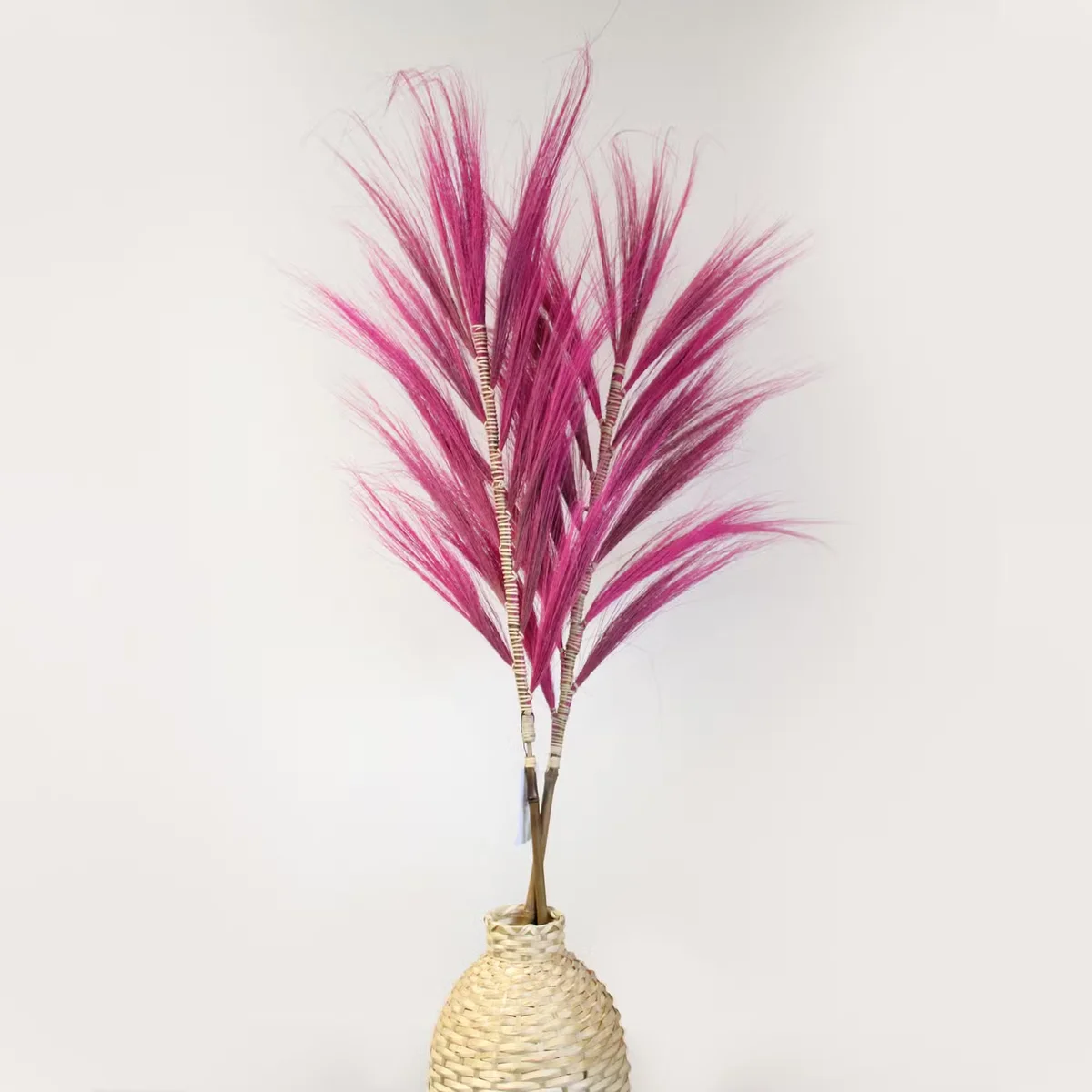 Tall 1.6m Rayung pink indoor grass ornament with slender green and pink-tinted blades on white background